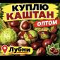 Каштани каштани - фото № 1