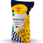 Насіння соняшнику sPRO Санвера 7+ від Євросем - фото № 1