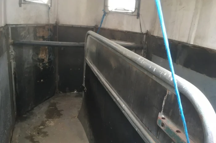 Причіп для перевезення коней ПР D-10- фото № 4