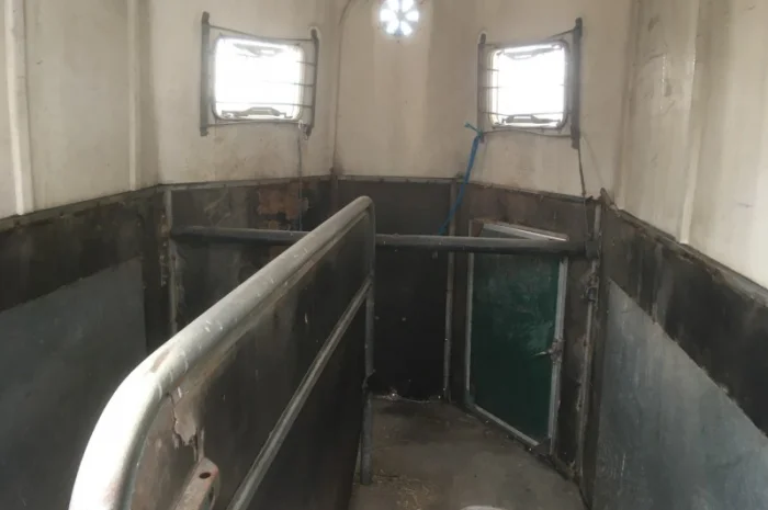 Причіп для перевезення коней ПР D-10- фото № 5