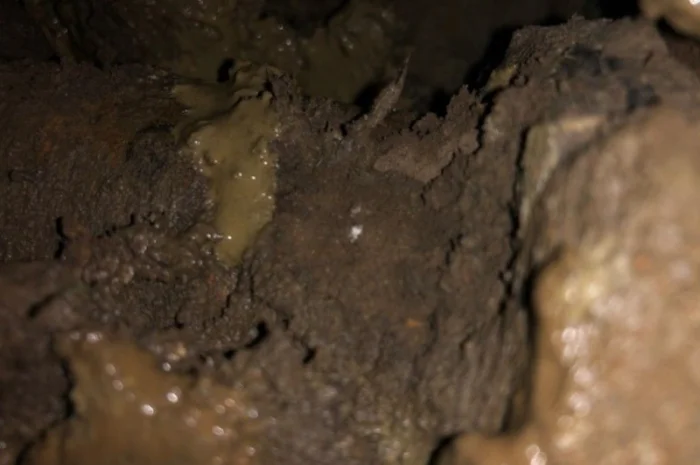 Бульдозер Komatsu D39EX-21- фото № 11