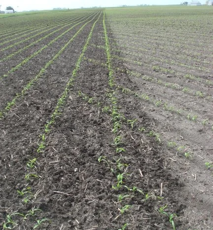 Американская Ротационная борона мотыга John Deere Джон Дир 6 метров под МТЗ 80/82- фото № 8