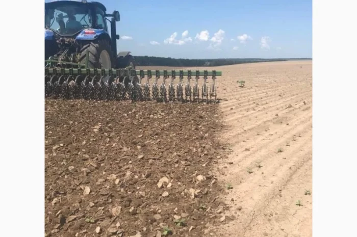 Ротаційна борона- фото № 1