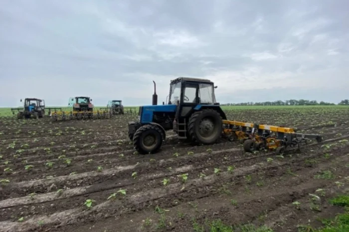 Культиватор міжрядний (просапний) 4, 2; 5, 6; 8, 2; 11, 6 метрів серії "Велес"- фото № 5