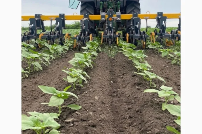 Культиватор міжрядний (просапний) 4, 2; 5, 6; 8, 2; 11, 6 метрів серії "Велес"- фото № 6