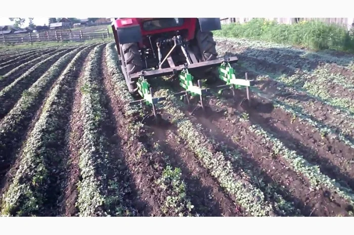 Окучник, культиватор міжрядний від 3 до 9 секцій Польща- фото № 3