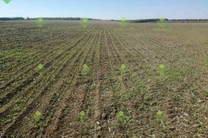 Verti-till турбокультиватор green wave 3, 9 м- фото № 4