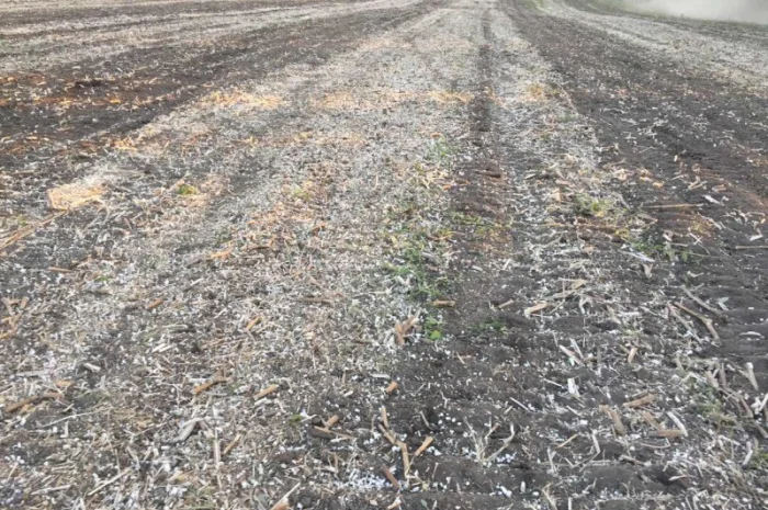 Каток измельчитель растительных остатков КЗК-6-04- фото № 4