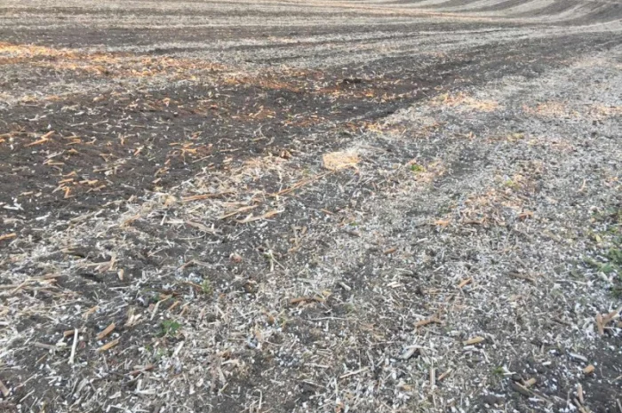 Каток измельчитель растительных остатков КЗК-6-04- фото № 5