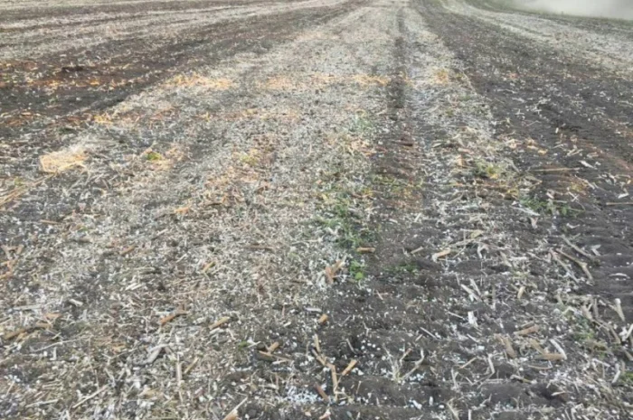 Каток измельчитель растений КПР-2Н навесной Уманьферммаш- фото № 5