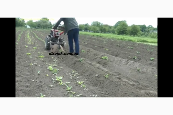 Окучник дисковий D370 регульований в комплекті зі сцепками- фото № 5