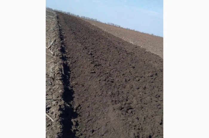 Оранка полів- фото № 2