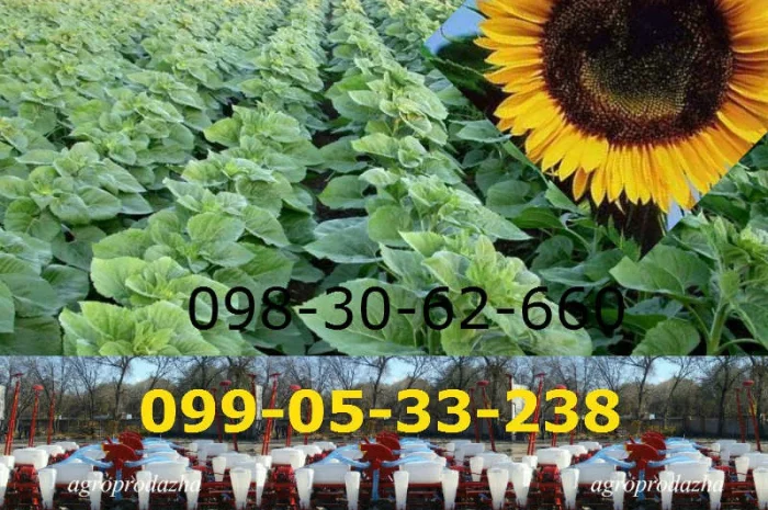 Сеялка СУПН-8 + модернизированная цена / продажа / Днепр- фото № 1