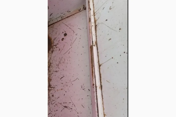 Продам сівалку сз 3.6- фото № 2