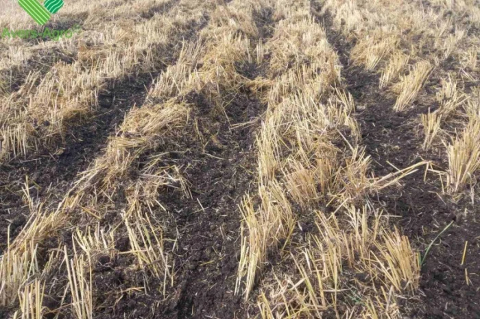 Очиститель рядка на сеялку John Deere 1745- фото № 3