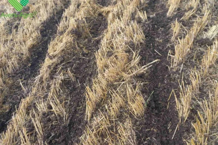 Очиститель рядка на сеялку John Deere 1745- фото № 4