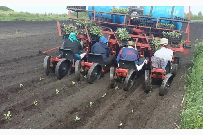 Машина рассадо-посадочная универсальная МРП (для помидоров, капусты, перца, огурцов)- фото № 1