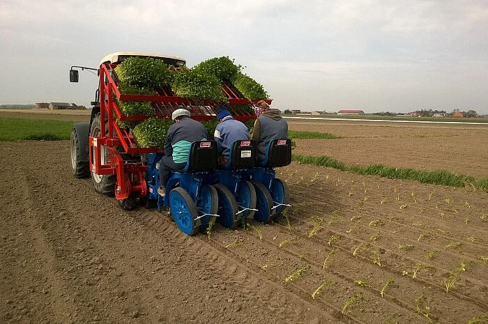 Рассадопосадочная машина FERRARI F max - Checchi & Magli, Super Prefer, Spapperi- фото № 4