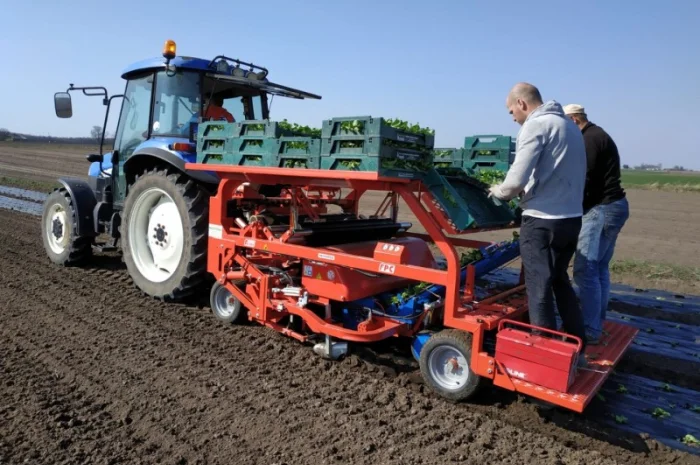 Розсадо-садильна машина з мульчуванням Ferrari FPC- фото № 1