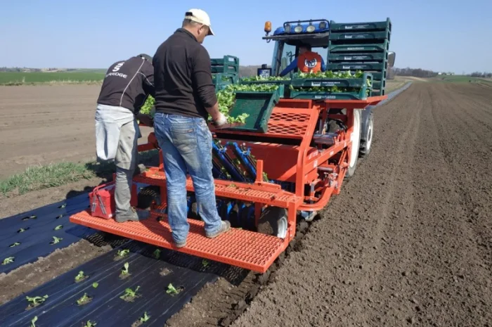 Розсадо-садильна машина з мульчуванням Ferrari FPC- фото № 3