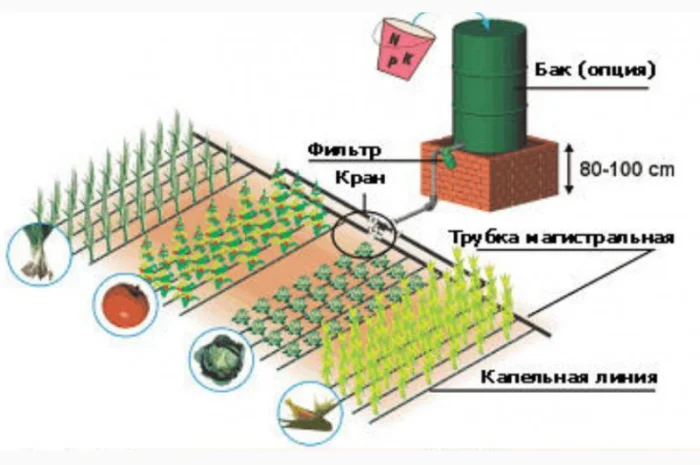 Капельный набор для полива, капельная лента, капельный полив- фото № 1