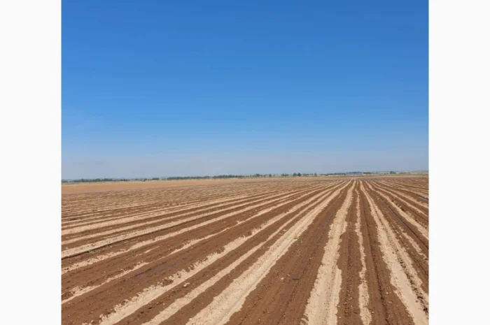 Крапельна стрічка власне виробництво- фото № 4