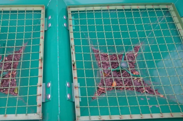 Розкидач добрив МВД-1200, машина внесения удобрений МВУ, разбрасыватель. Акция- фото № 6