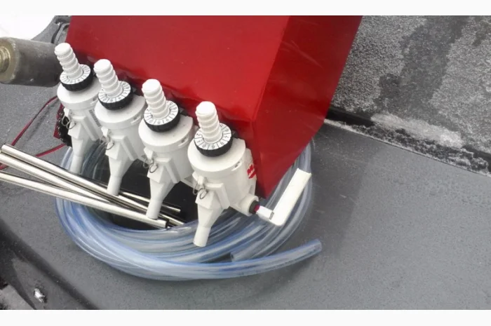 Морковь без вредителей- фото № 2