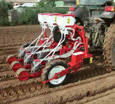 Картофель без дрота- фото № 1