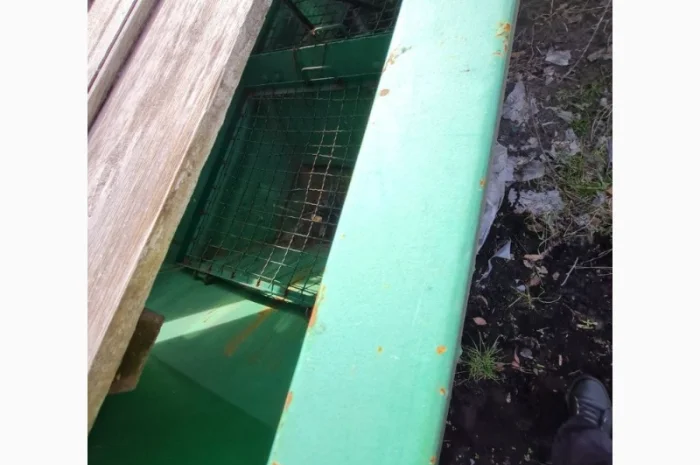 Розкидач міндобрива на дві тарілки- фото № 4