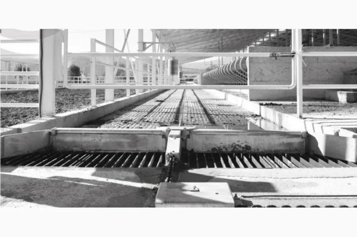 Скреперная система для прибирання гною EYS- фото № 1