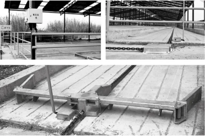 Скреперная система для прибирання гною EYS- фото № 3