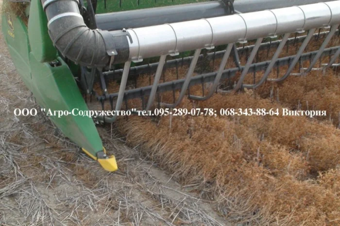 Жатка зерновая John Deere 920 Flex 6, 1м из США- фото № 3