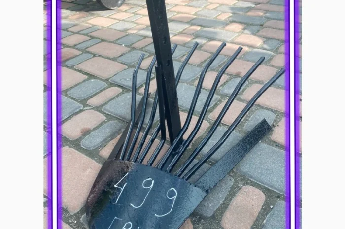 Продам картоплекопалку лапа Делфін- фото № 1