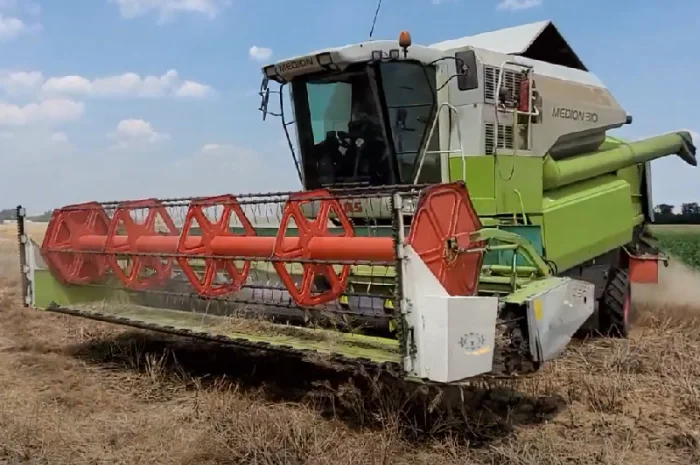 Ріпаковий стіл- фото № 1