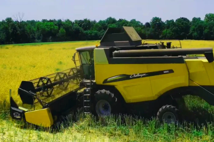 Ріпаковий стіл- фото № 2