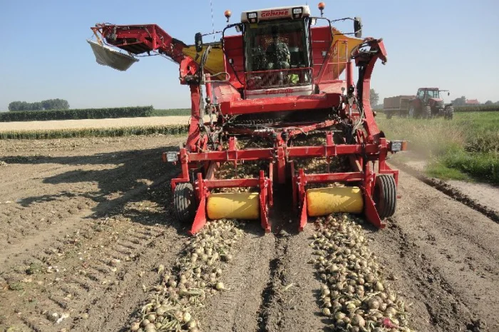 MacLouis Приставка для уборки лука цибулі Grimme, Amac- фото № 1