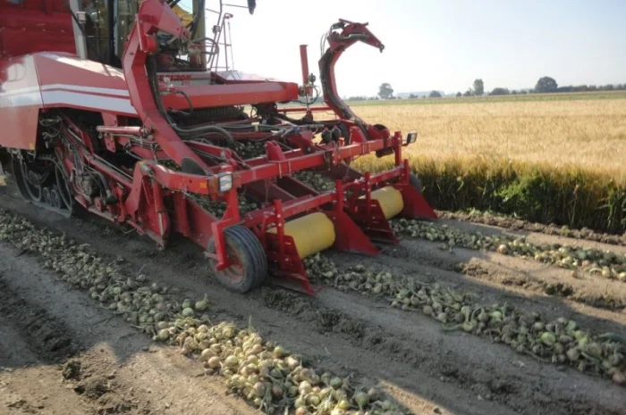 MacLouis Приставка для уборки лука цибулі Grimme, Amac- фото № 9