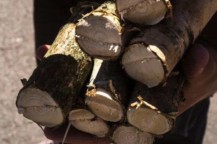 Измельчители древесных отходов на дрова Jirbo (Чехия)- фото № 13