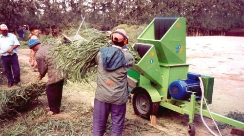 Измельчители древесных отходов (Италия)- фото № 4