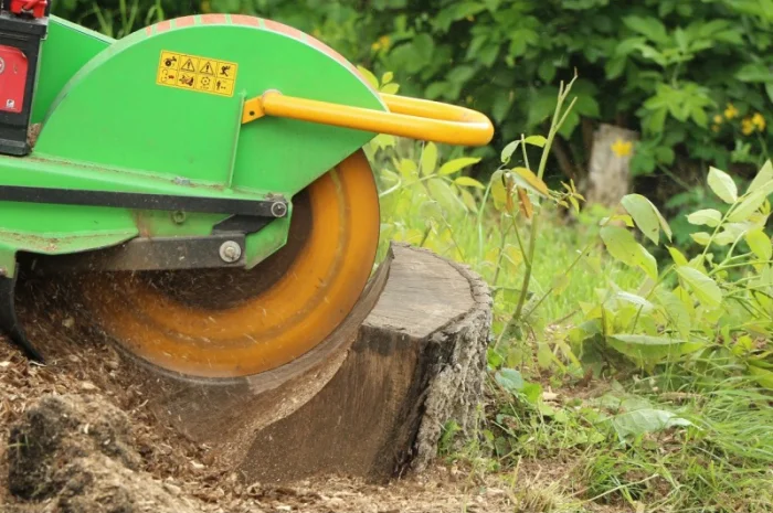 Измельчители пней LS(Чехия)- фото № 5