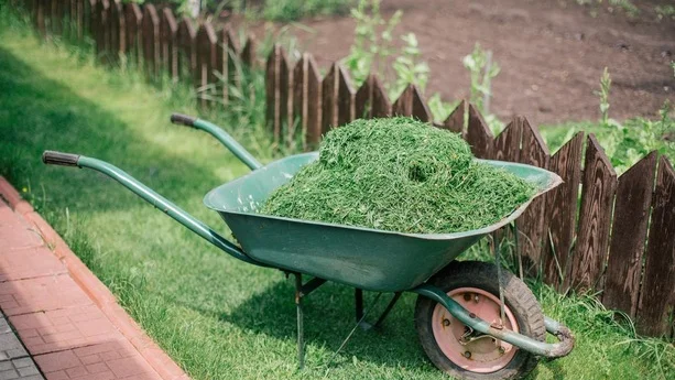 Садовый измельчитель мульчирователь Садок 2, 2 кВт- фото № 3