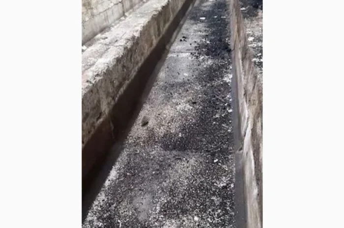 Здам в оренду с/г споруди - ферми, склади- фото № 2