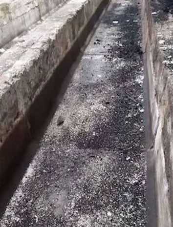 Фермы, склады под производство или хранение с/х продукции- фото № 2