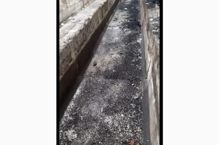 Здам в оренду ферми, склади с. Покровське, Решетилівський р-н- фото № 1