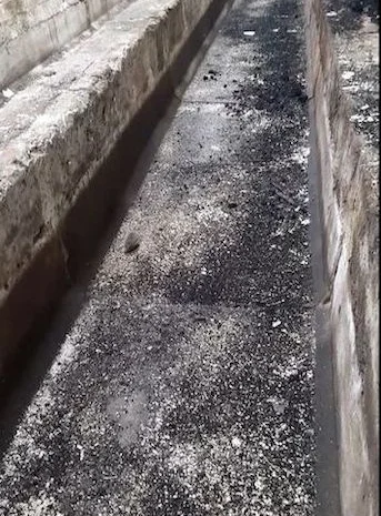 Здам в оренду ферми- фото № 2