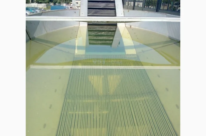 Бункер замачивания (барботажная мойка) моркови ZSW- фото № 3