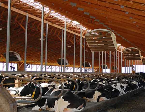 Вентиляційне обладнання для корівника- фото № 1