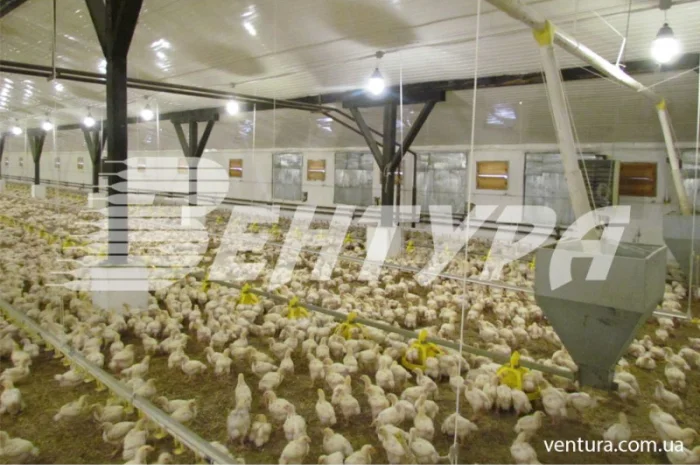 Обладнання для птахофабрик та вентиляція для птахокомплексів- фото № 1