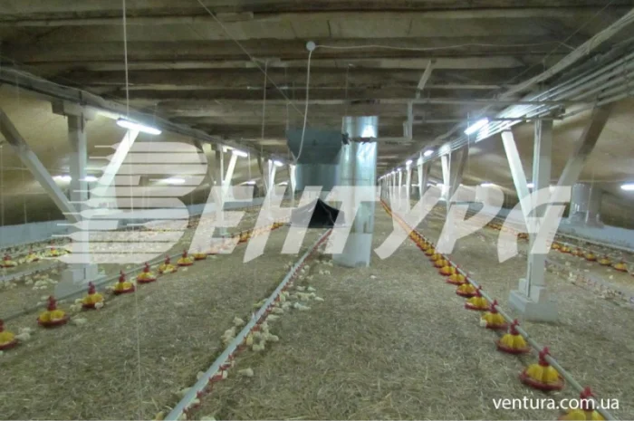 Обладнання для птахофабрик та вентиляція для птахокомплексів- фото № 4